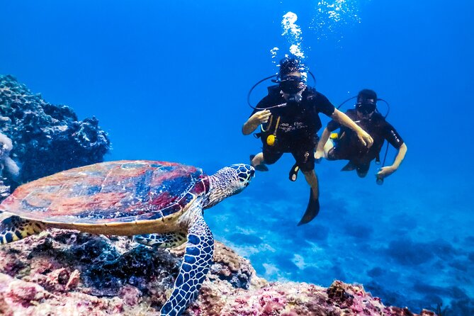 From Side, Alanya: Scuba Diving With 2 Time Dive & Lunch - Directions