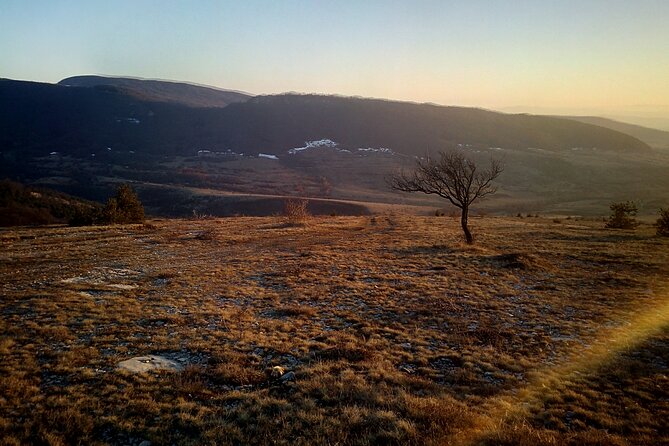 From Sofia: Walking Tour Over the Jurassic Sea - Private Tour and Cancellation Policy