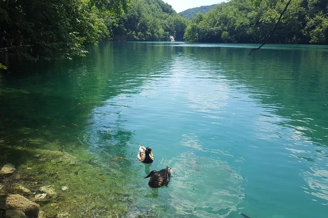 From Zagreb to Split or Trogir: Private Transfer With Plitvice Lakes - Booking Information