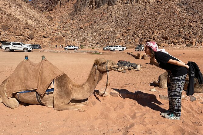 Full Day 4x4 Classic Desert Tour With Overnight in Private Tent - The Sum Up