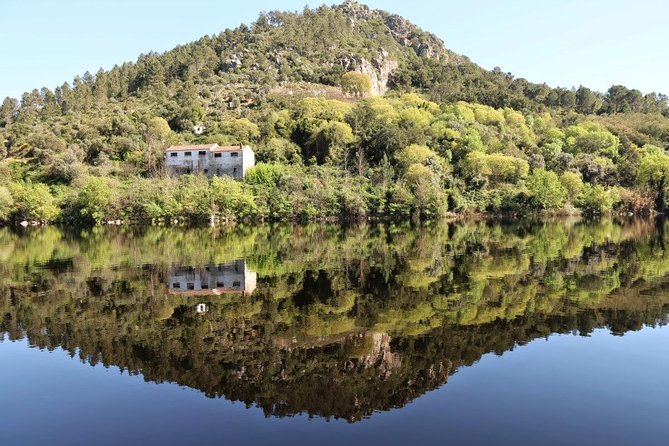 Full-Day Bird Watching Private Tour From Lisbon With Lunch - Frequently Asked Questions