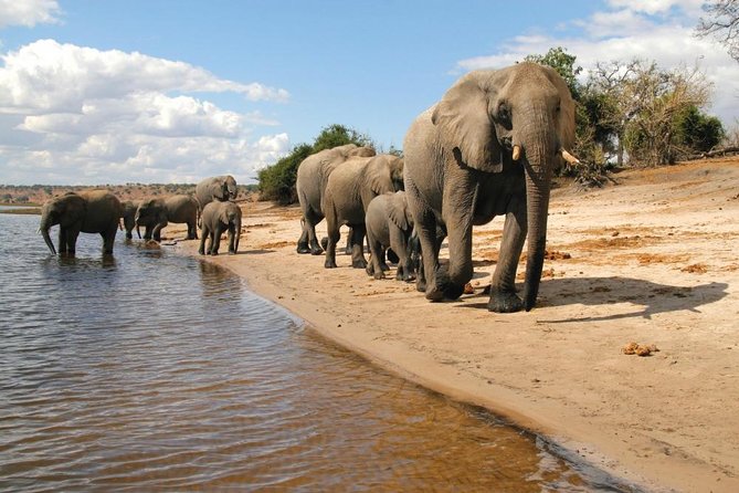 Full Day Chobe National Park Big 5 Safari - Booking Details