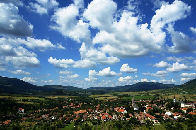 Full-Day Custom Tokaj Wine Tour - Wine Tasting Experiences