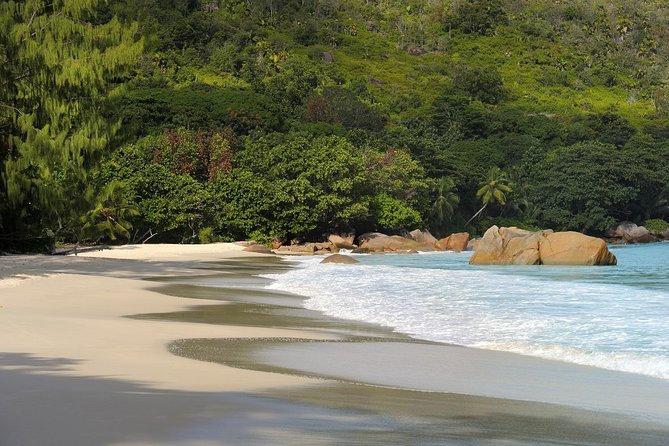 Full Day Discovery Tour of Vallee De Mai and Anse Lazio on Praslin Island - Additional Information