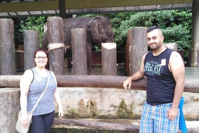 Full Day Elephant Sanctuary Tour With a Free Batu Caves Visit - Pricing and Guarantee