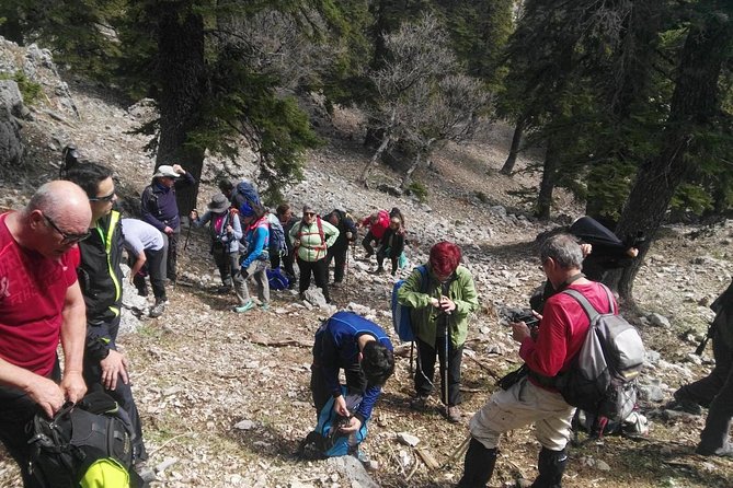 Full Day Excursion to Mount Lakraa | Highest in Talassemtane Park (2159m) - Inclusions and Additional Information
