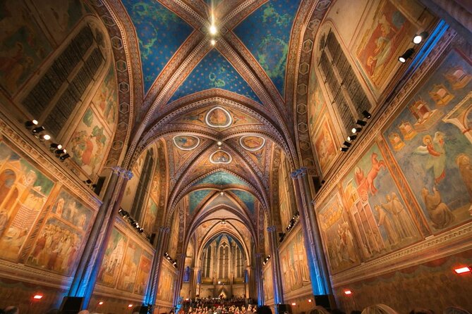 Full Day Experience | Truffle Hunting in Assisi - Operator Information