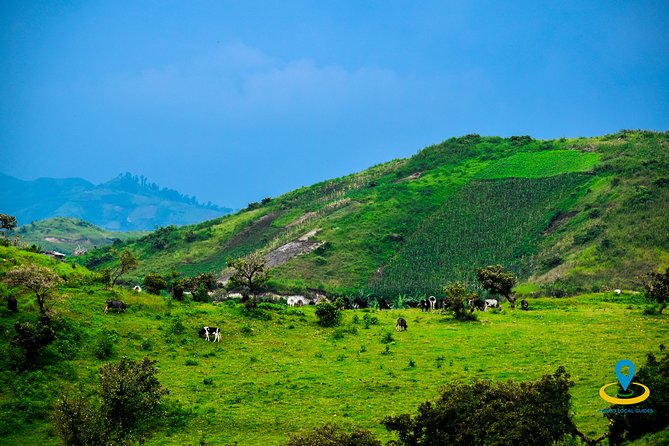 Full Day Goma Villages Tour - Local Cuisine