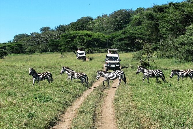 Full Day Guided Day Trip to Ngorongoro - Meeting and Pickup