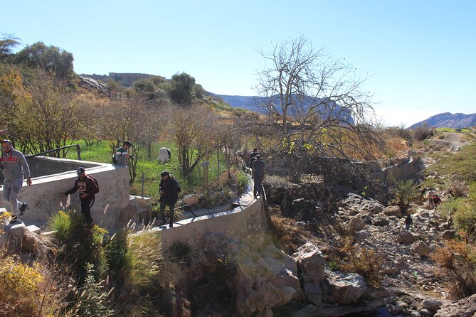 Full-Day Guided Tour to Jebel Akhdar - Booking Guidelines