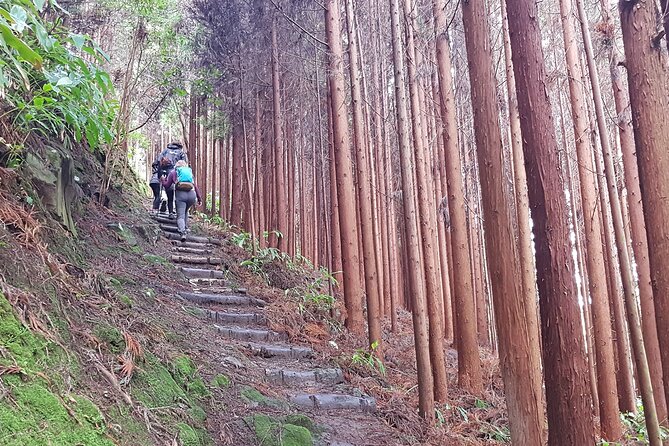 Full Day Hiking Trail Waterfalls- in Lomba De São Pedro - Azores - The Sum Up