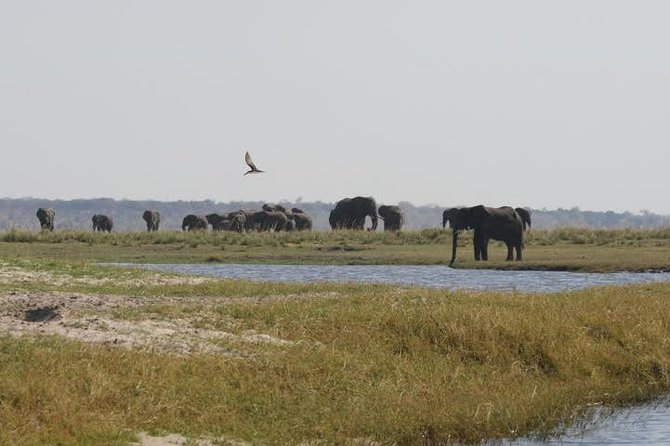 Full Day Hwange Day Trip - Booking Information