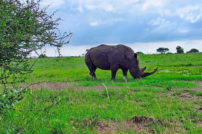 Full-Day Lake Nakuru National Park Private Guided Tour With Lunch - Lunch Details