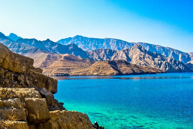 Full Day Musandam Dibba Cruise With Buffet Lunch - Customer Reviews