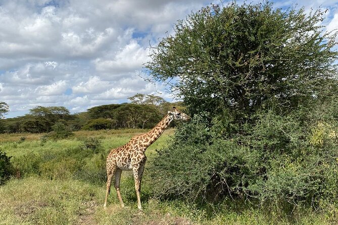 Full-Day Nairobi Circuit Private and Guided Tour - Booking Details