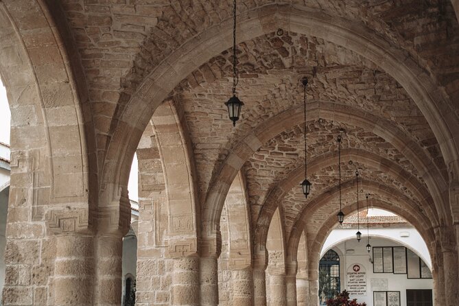 Full Day Private Shore Tour in Larnaca From Ayia Napa Cruise Port - Directions and Pick-Up Process