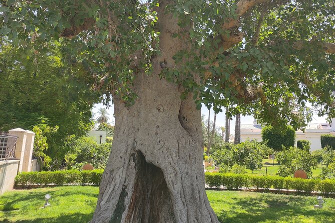 Full Day Private Tour by Car in Jericho and Dead Sea - Tour Itinerary