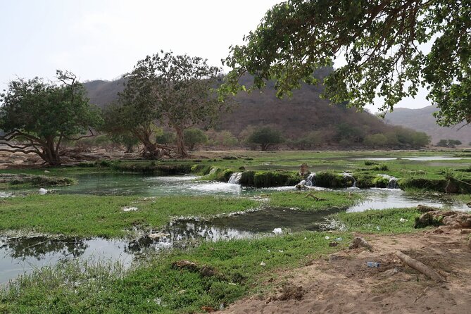 Full Day Private Tour in Dhofar Mountains and Beaches - Tour Highlights