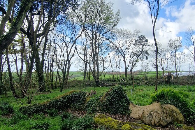 Full-Day Private Tour in South Coast of Cornwall - Frequently Asked Questions