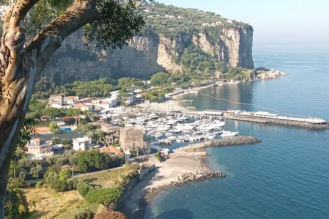 Full-Day Private Tour of Positano, Sorrento and Pompeii From Naples - Entrance Fees
