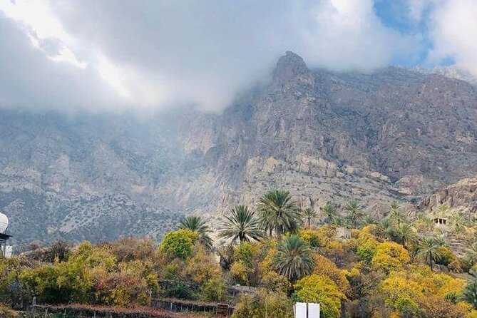 Full-Day Private Tour to Nakhal & Wakan - The Sum Up