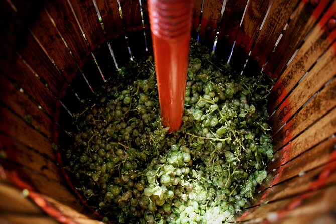 Full Day Private Tour With Txakoli Tasting in Sebastian & Getaria - Local Directions and Recommendations