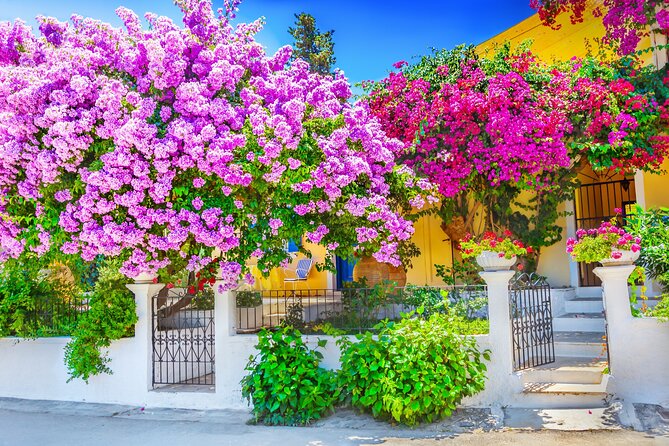 Full Day Rhodes Island Tour for First Time Visitors - Accessibility and Guidelines