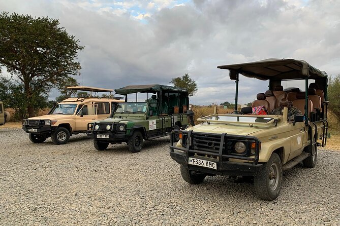 Full-Day Safari Tour From Mikumi National Park of Zanzibar - End Point Information