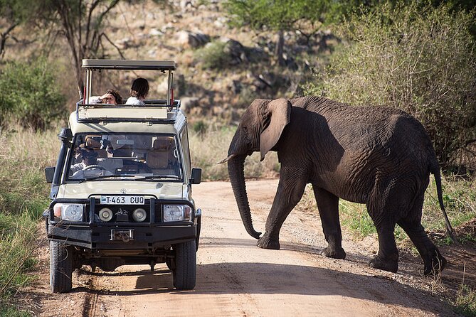 Full-Day Serengeti Tour From Mwanza - Meeting and Pickup