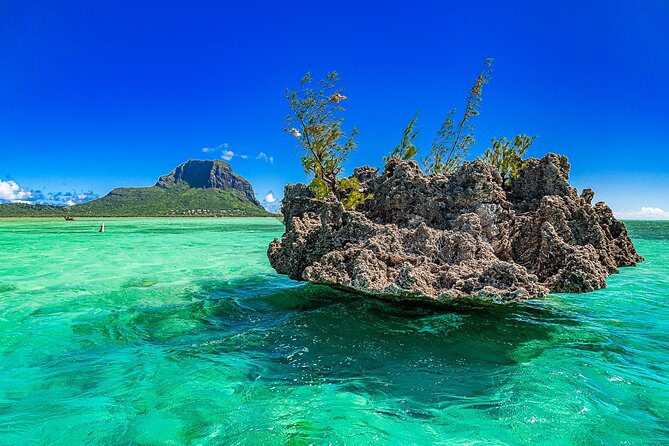 Full Day Shared Speedboat Tour - South West Lagoon Dolphin Swim - Pricing Information