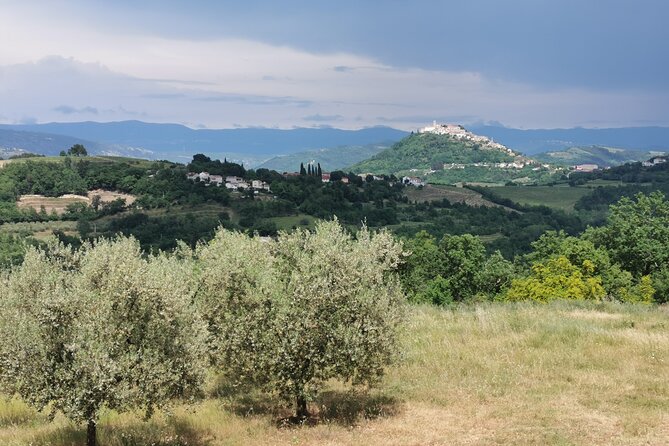 Full-Day Shore Excursion to Istria From Opatija or Rijeka - Additional Policies