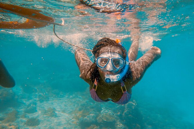 Full-Day Special Wasini Island Tour With Snorkeling and Lunch - Cancellation Policy