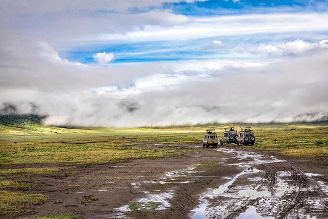 Full Day To Arusha National Park - The Sum Up