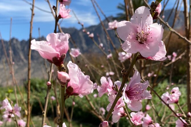 Full Day Tour From Wakan to Jebel Akhdar Trekking - Directions