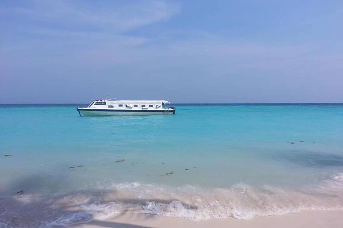 Full Day Tour in Mantanani - Tour Highlights