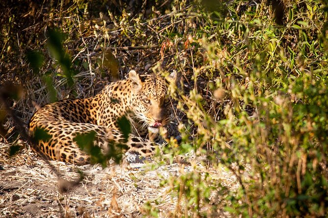 Full Day Tour to Chobe and Botswana From Victoria Falls - What To Bring