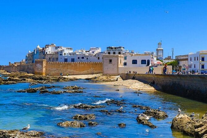 Full Day Tour to Essaouira From Marrakech - Local Cuisine