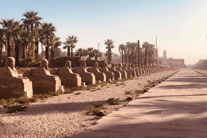 Full Day Tour to Luxor From Cairo by Air Plane - Price and Group Size Options