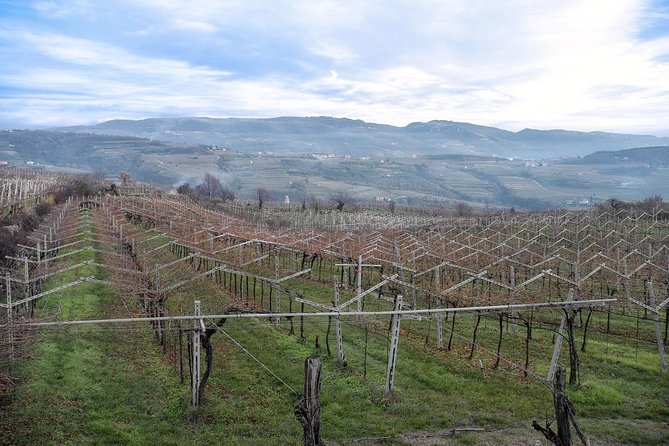Full-Day Valpolicella Private Tour From Milan With Wine Taste - What To Expect