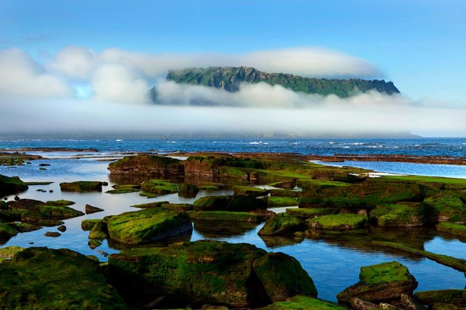 Fully Customizable Private Tour of Jeju Island - Price and Cancellation Policy