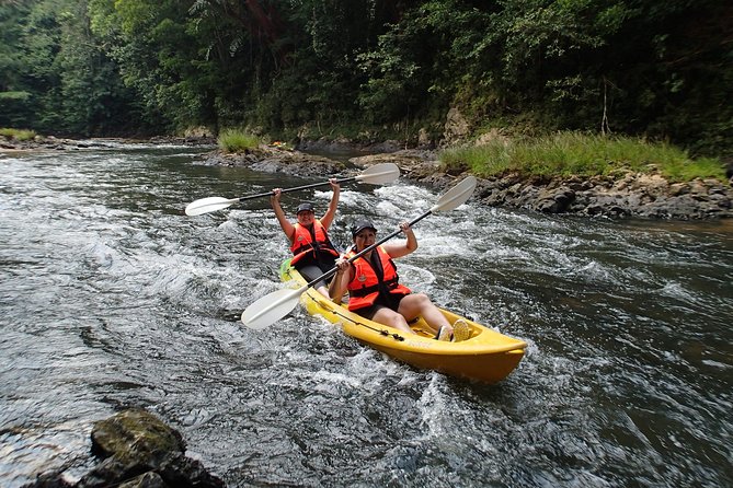Fun Filled Kayaking Adventure in Kuching - Booking