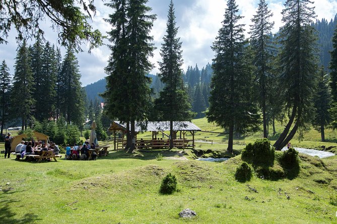 Fun Into the Wild - One Day Tour From Bucharest - Booking Information