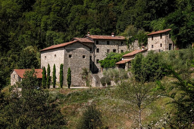 Garfagnana Hand-On Cooking Class and Meal - Price and Reviews