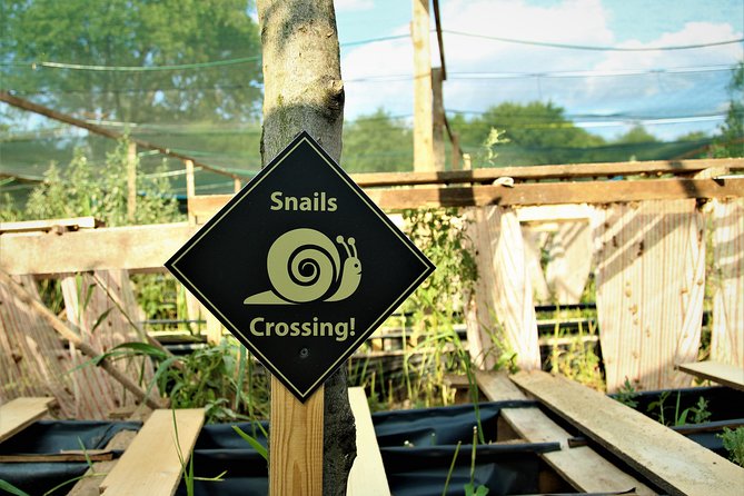 Gastrotour: Snail'S Farm With Degustation - Tour The Sum Up