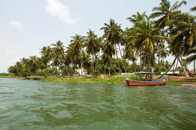Ghana Beach, History & Nature, 6 Days - Nature Excursions and Wildlife