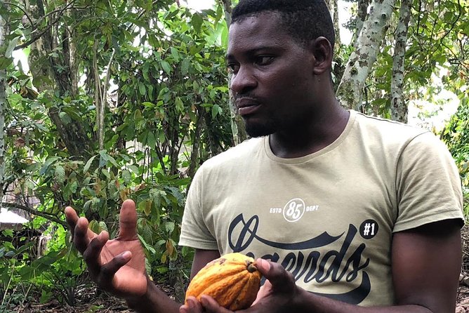 Ghana Eastern Explorer - Boti Falls, Aburi Gardens & Tetther Quarshie Cocoa Farm - Reviews