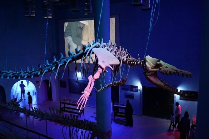 Grand Aquarium Hurghada - Price Details
