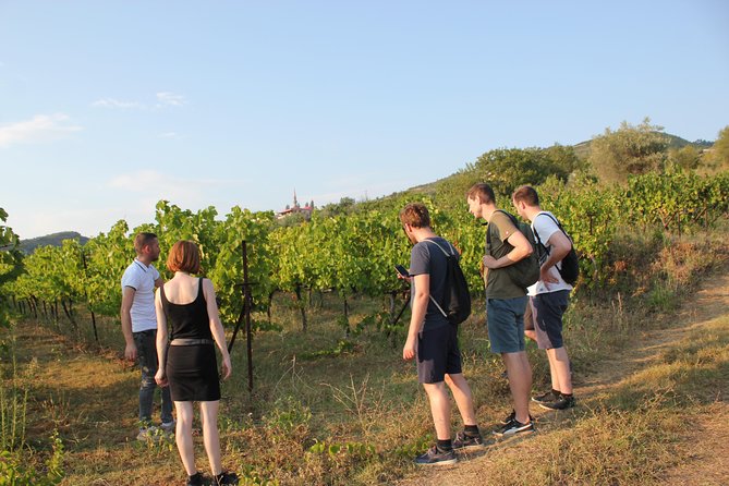 Grand Wine Tasting and Food Tour Of Berat By Berat City Tours - Local Snack Pairings