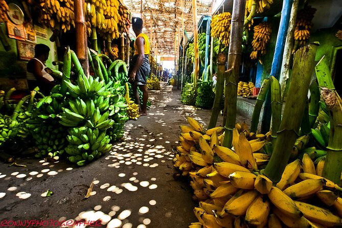 Guided Tour of Paradise Valley & Banana Street Market - Booking Information