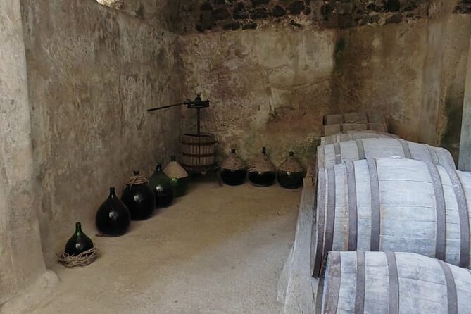 Guided Tour of the Aragonese Castle in Ischia - Booking Process and Information